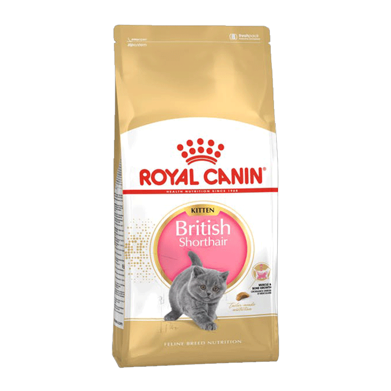 غذای خشک بچه گربه مو کوتاه نژاد بریتیش رویال کنین Royal Canin Kitten British Shorthair وزن ۲ کیلوگرم