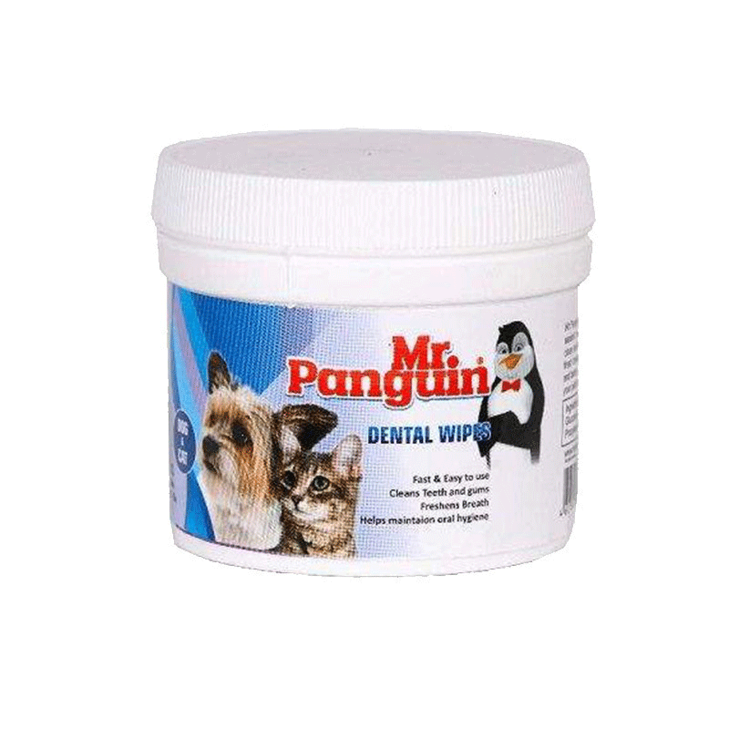 دستمال مرطوب دندان مستر پنگوئین مدل Dental Wipe بسته 70 عددی